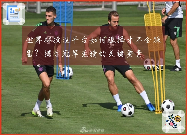 世界杯投注平台如何选择才不会踩雷？揭示冠军竞猜的关键要素