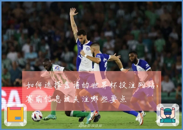 如何选择靠谱的世界杯投注网站，赛前信息该关注哪些要点