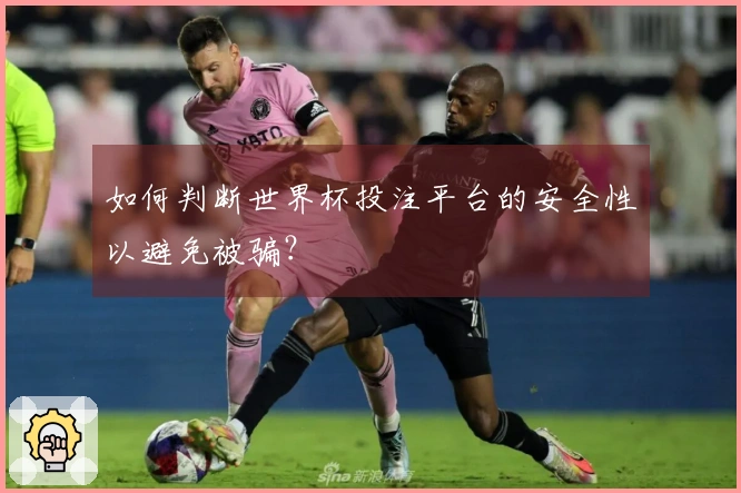 如何判断世界杯投注平台的安全性以避免被骗？