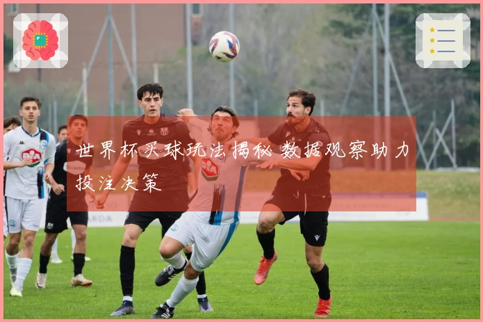 世界杯买球玩法揭秘 数据观察助力投注决策