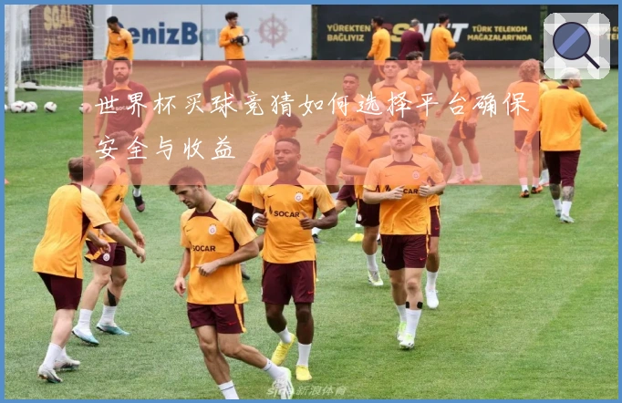 世界杯买球竞猜如何选择平台确保安全与收益
