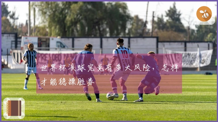 世界杯滚球究竟有多大风险，怎样才能稳操胜券