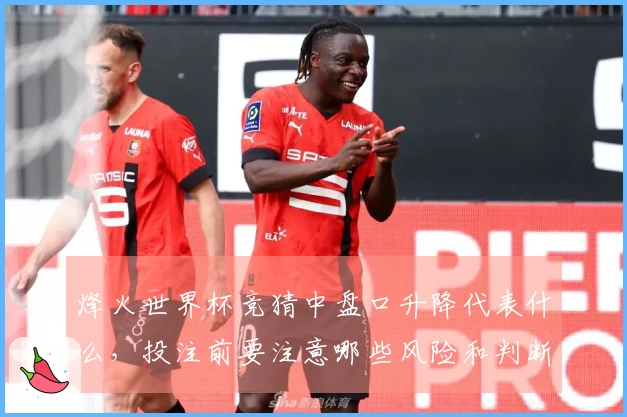 烽火世界杯竞猜中盘口升降代表什么，投注前要注意哪些风险和判断依据