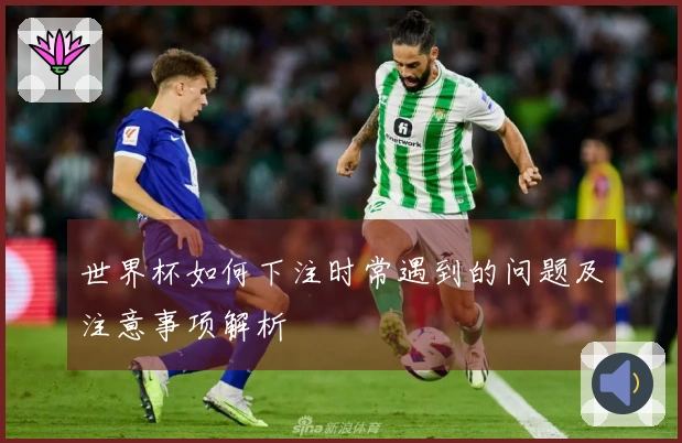 世界杯如何下注时常遇到的问题及注意事项解析