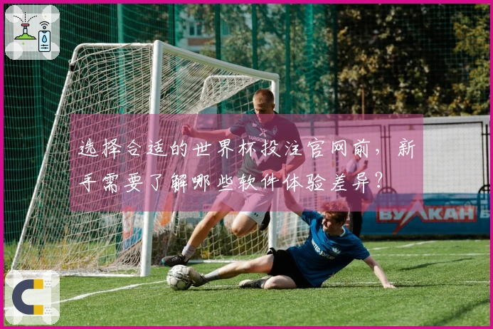 选择合适的世界杯投注官网前，新手需要了解哪些软件体验差异？