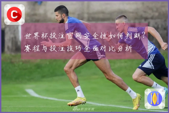 世界杯投注官网安全性如何判断？赛程与投注技巧全面对比分析