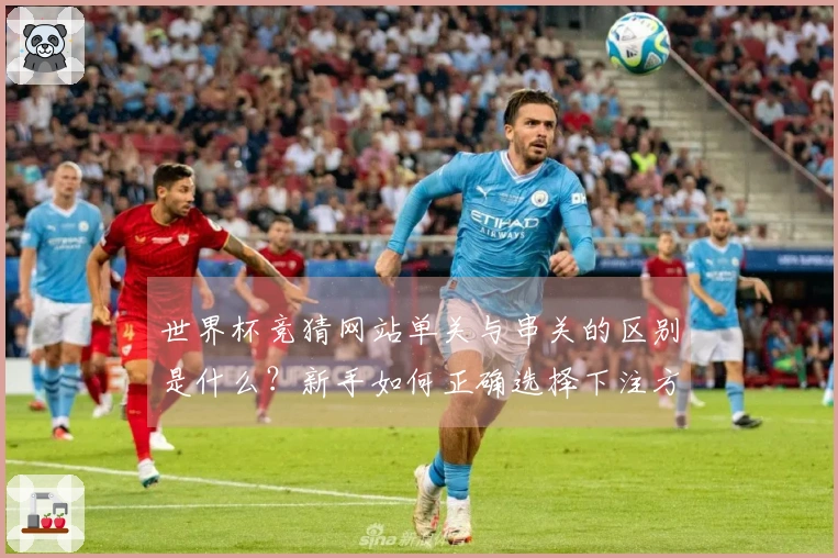 世界杯竞猜网站单关与串关的区别是什么？新手如何正确选择下注方式？