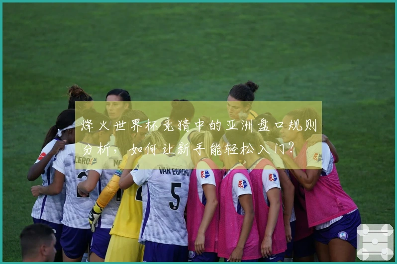 烽火世界杯竞猜中的亚洲盘口规则分析，如何让新手能轻松入门？