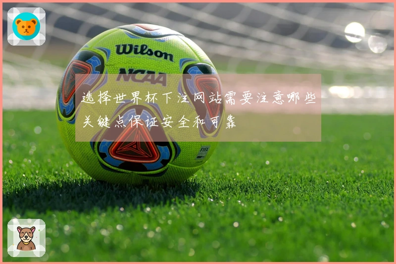 选择世界杯下注网站需要注意哪些关键点保证安全和可靠