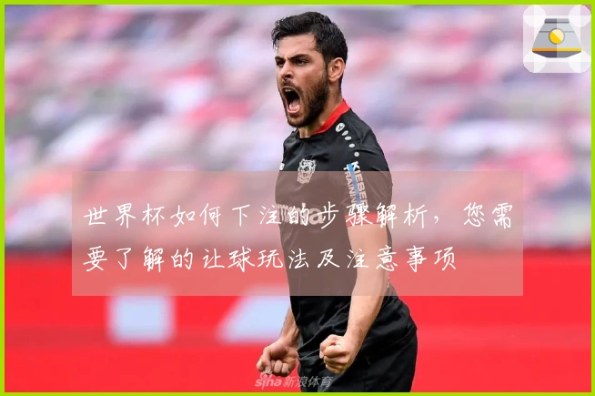 世界杯如何下注的步骤解析，您需要了解的让球玩法及注意事项