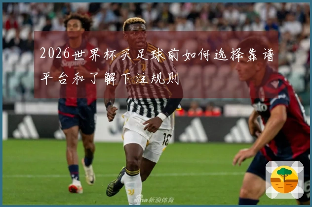 2026世界杯买足球前如何选择靠谱平台和了解下注规则
