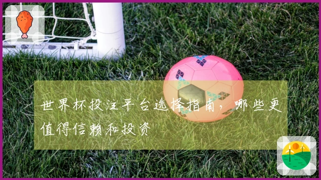 世界杯投注平台选择指南，哪些更值得信赖和投资