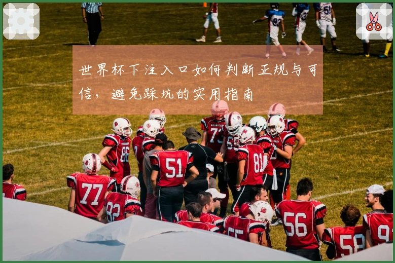 世界杯下注入口如何判断正规与可信，避免踩坑的实用指南