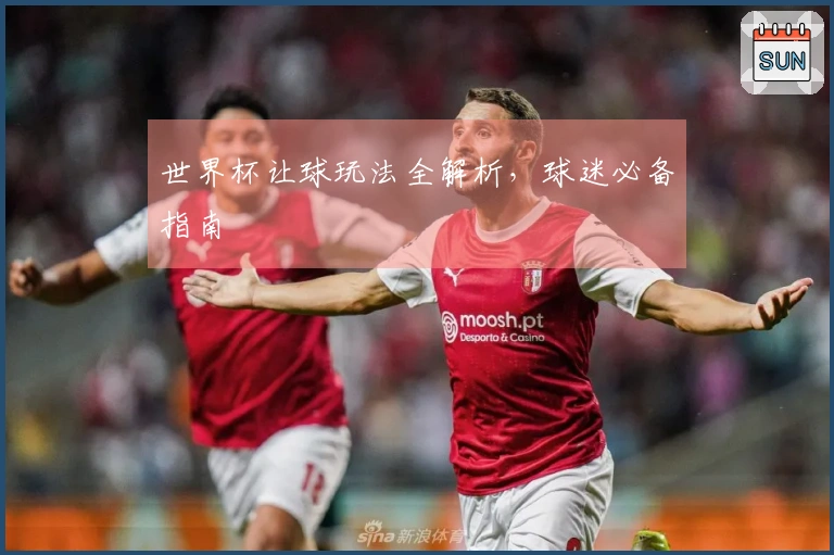 世界杯让球玩法全解析，球迷必备指南