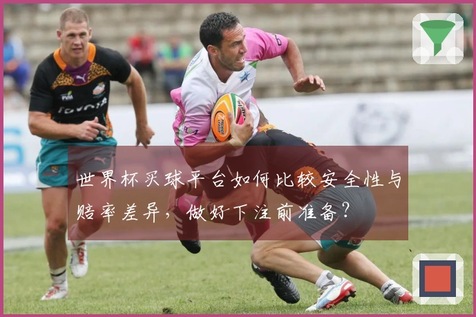 世界杯买球平台如何比较安全性与赔率差异，做好下注前准备？