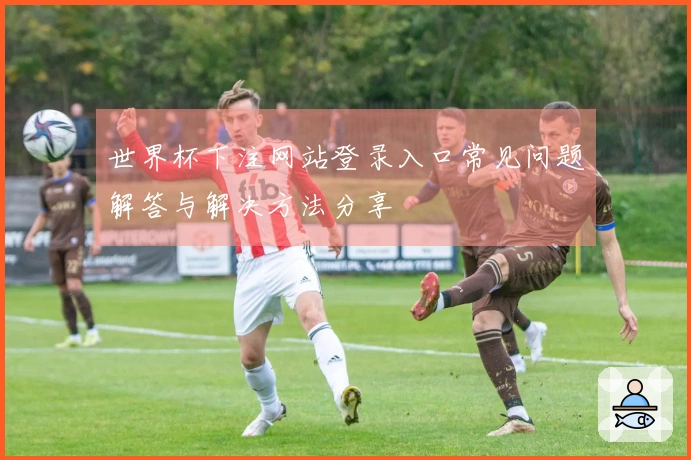 世界杯下注网站登录入口常见问题解答与解决方法分享