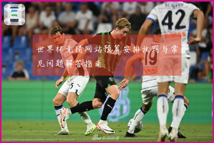 世界杯竞猜网站预算安排诀窍与常见问题解答指南