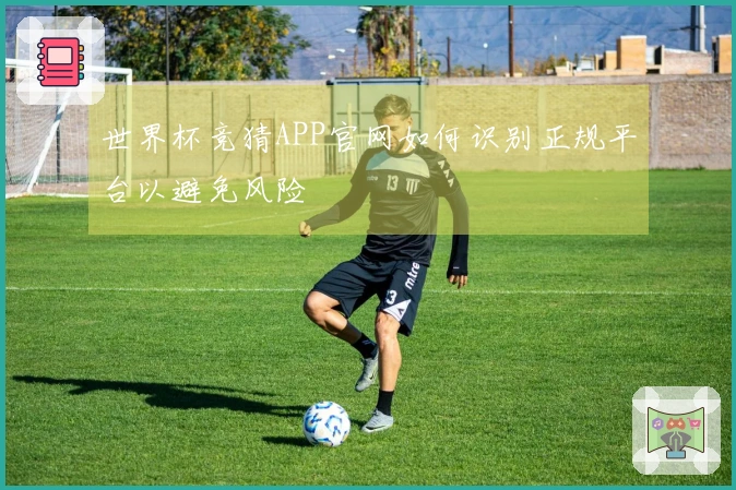世界杯竞猜APP官网如何识别正规平台以避免风险