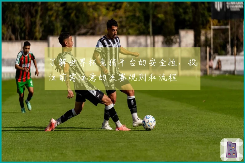 了解世界杯竞猜平台的安全性，投注前需注意的决赛规则和流程