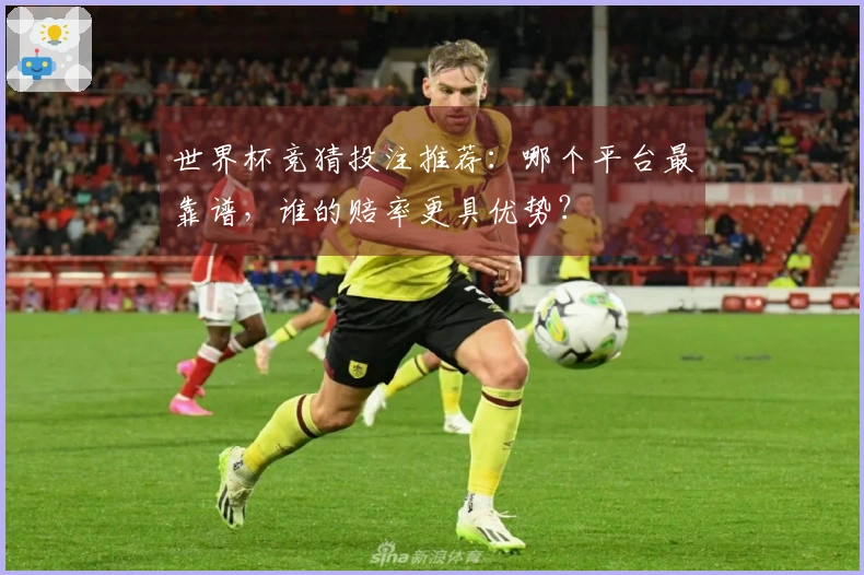 世界杯竞猜投注推荐：哪个平台最靠谱，谁的赔率更具优势？