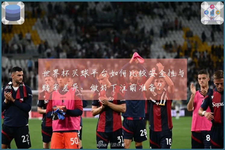 世界杯买球平台如何比较安全性与赔率差异，做好下注前准备？