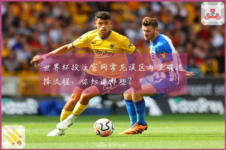 世界杯投注官网常见误区与正确选择流程，你知道哪些？