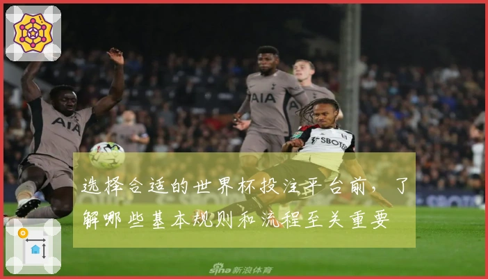 选择合适的世界杯投注平台前，了解哪些基本规则和流程至关重要