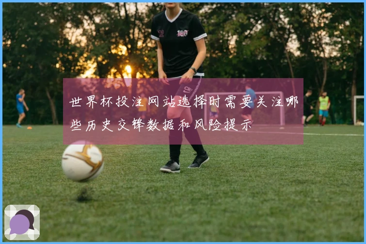 世界杯投注网站选择时需要关注哪些历史交锋数据和风险提示