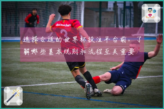 选择合适的世界杯投注平台前，了解哪些基本规则和流程至关重要