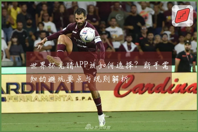 世界杯竞猜APP该如何选择？新手需知的避坑要点与规则解析