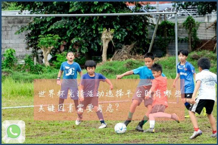 世界杯竞猜活动选择平台时有哪些关键因素需要考虑？