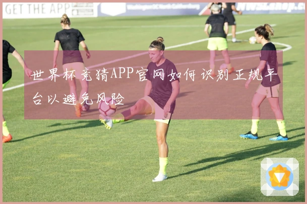 世界杯竞猜APP官网如何识别正规平台以避免风险