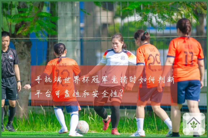 手机端世界杯冠军竞猜时如何判断平台可靠性和安全性？