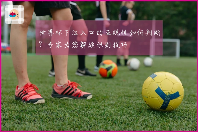 世界杯下注入口的正规性如何判断？专家为您解读识别技巧