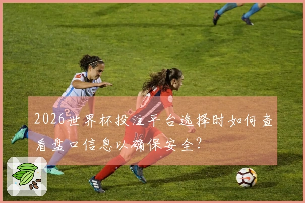 2026世界杯投注平台选择时如何查看盘口信息以确保安全？