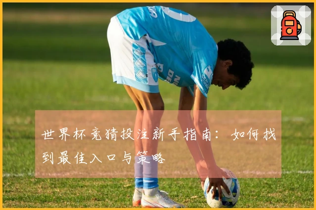 世界杯竞猜投注新手指南:如何找到最佳入口与策略
