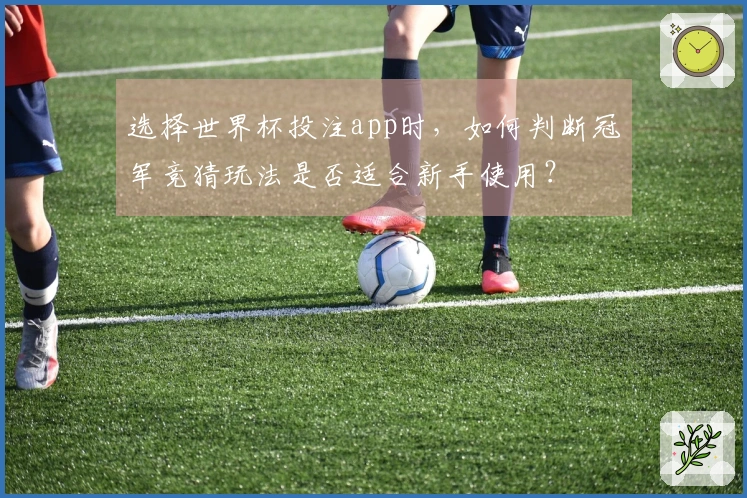 选择世界杯投注app时，如何判断冠军竞猜玩法是否适合新手使用？