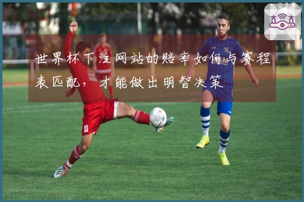 世界杯下注网站的赔率如何与赛程表匹配，才能做出明智决策