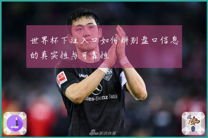 世界杯下注入口如何辨别盘口信息的真实性与可靠性
