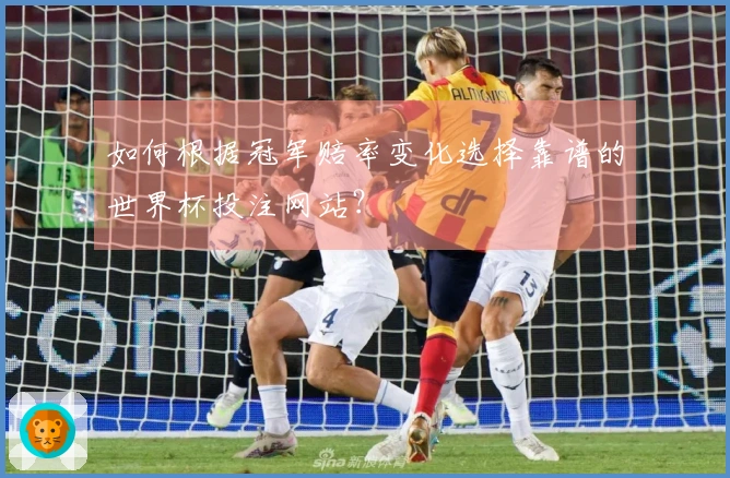 如何根据冠军赔率变化选择靠谱的世界杯投注网站？